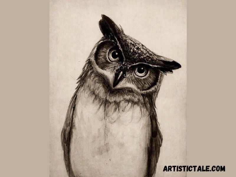 Pencil Drawings Of Animals